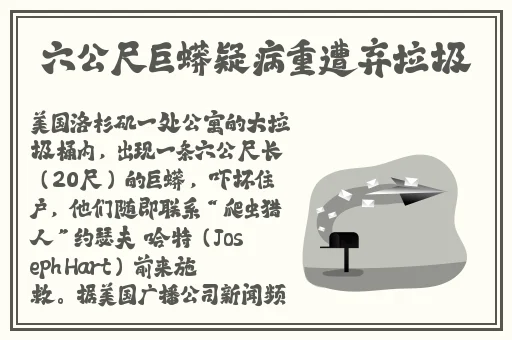 **站最稳定365