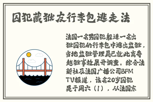 二区免费视频